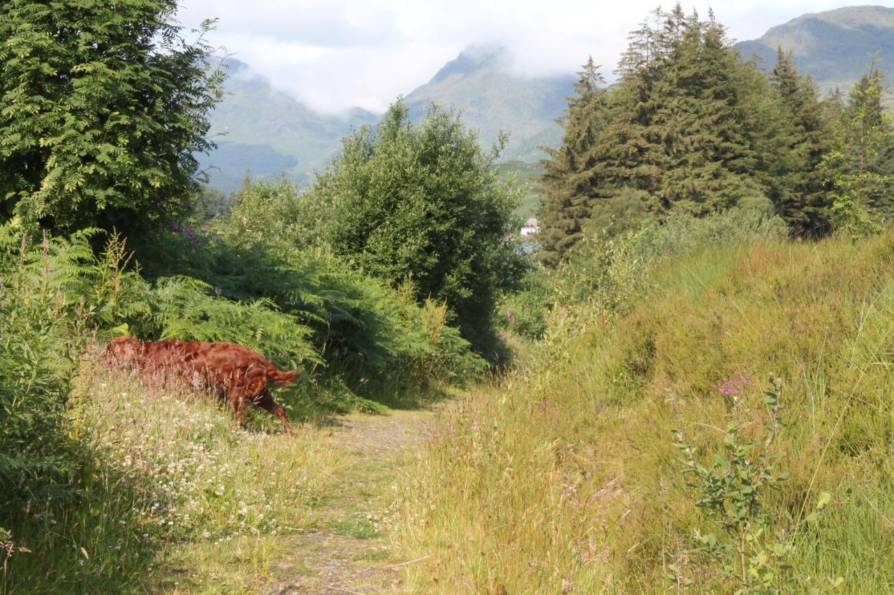 Loch Arklet House Bed & Breakfast สเตอร์ลิง ภายนอก รูปภาพ